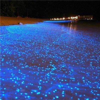 疯狂动物园圣诞节版本下载